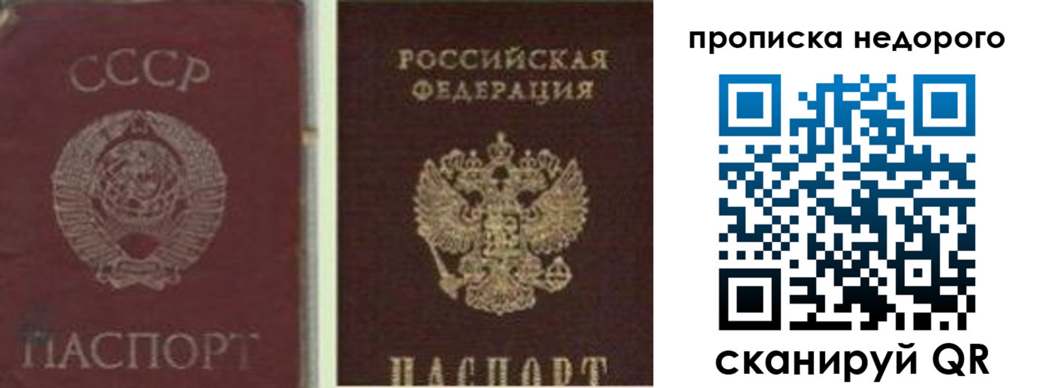временная регистрация поиск в Ростове